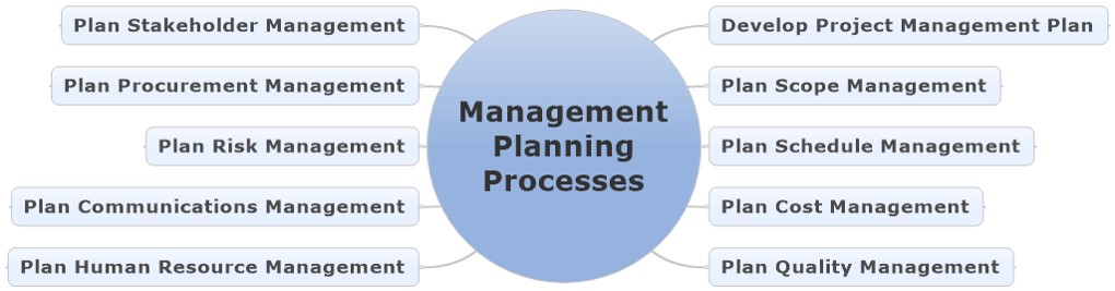 The Management Planning Processes