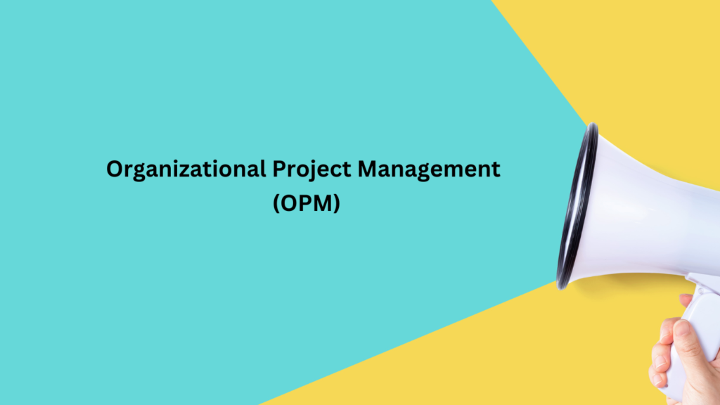 The Role of OPM in Project Management Transformation