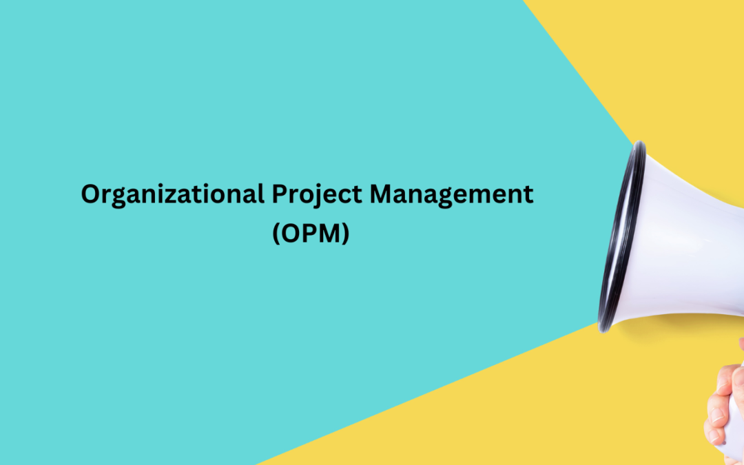 The foundation for transformation, the organizational project management system