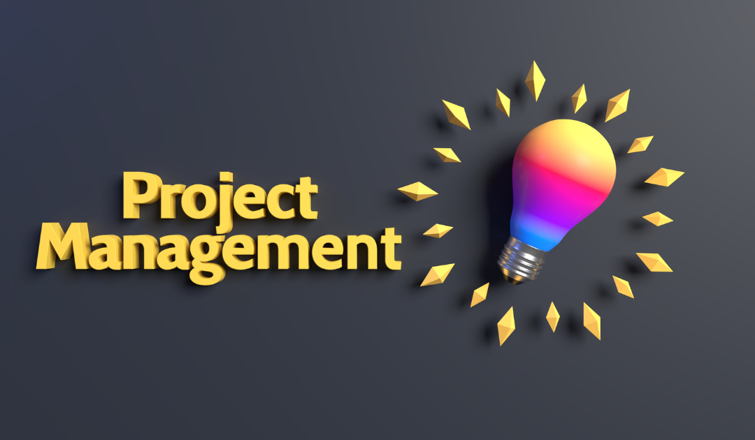 Are the project management associations searching for a new identity?